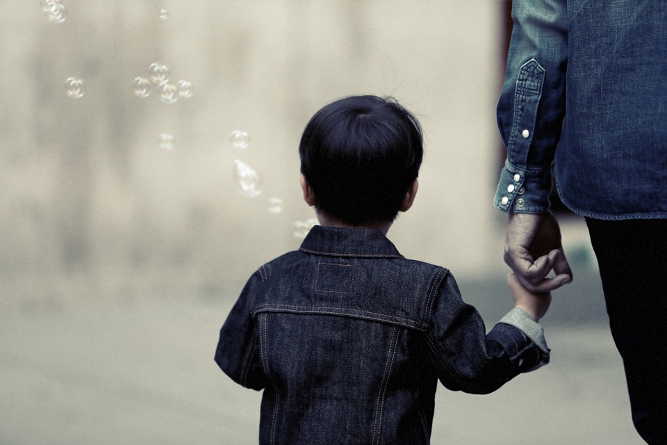 WRF Board Member Solano Portela on "The Difficult Task of the Judge-in-the-Home"