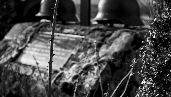 WRF Board Chairman Rick Perrin Reflects on "The Spoiled Fruits of War"