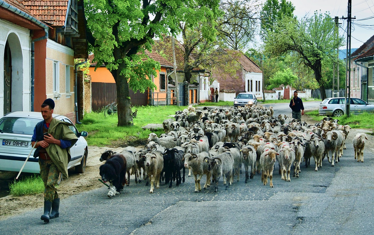 Fortifying the Lord’s Shepherds