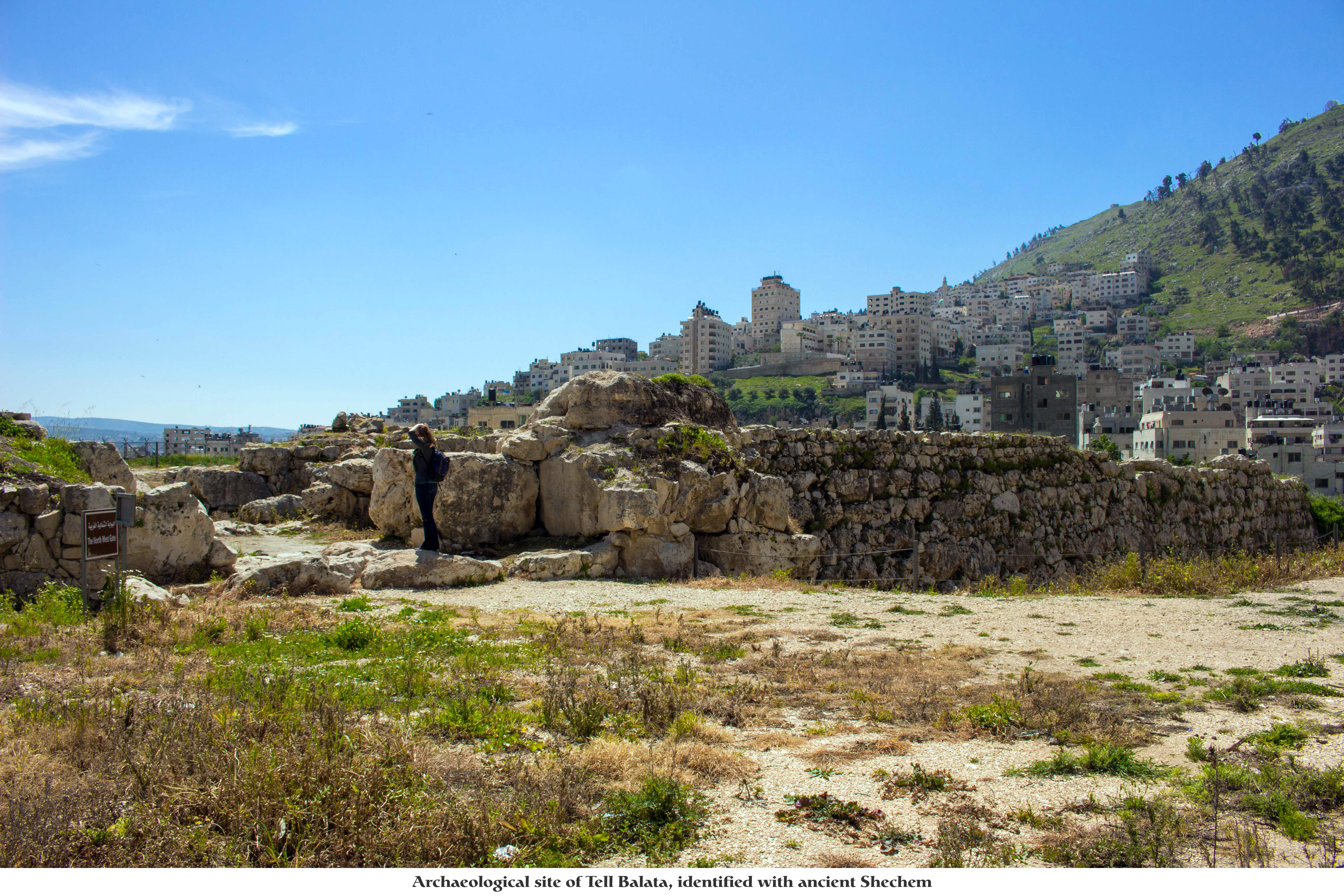 The Shadow of Shechem on the Eve of the Election